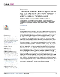 Over 13,000 Elements from a Single Bonebed Help Elucidate Disarticulation and Transport of an Edmontosaurus Thanatocoenosis