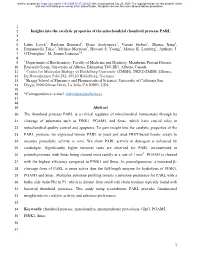 Insights Into the Catalytic Properties of the Mitochondrial Rhomboid