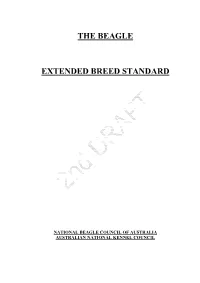 The Beagle Extended Breed Standard