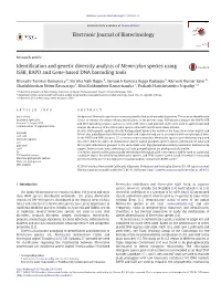Identification and Genetic Diversity Analysis of Memecylon Species