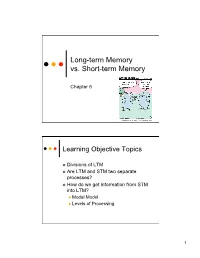 Long-Term Memory Vs. Short-Term Memory