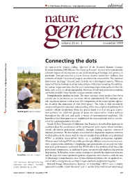 Connecting the Dots