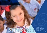 2019 Report to Synod 2019 Contents