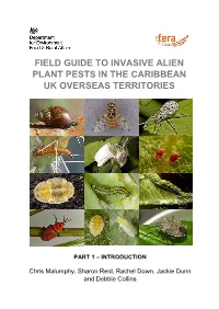 Field Guide Invasives Pests in Caribbean Ukots Part 1