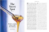 Mead Is Creating a Buzz in the Bar Industry