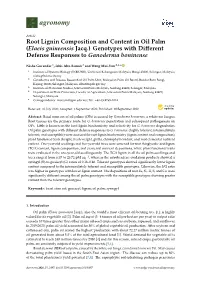 Root Lignin Composition and Content in Oil Palm (Elaeis Guineensis Jacq.) Genotypes with Diﬀerent Defense Responses to Ganoderma Boninense