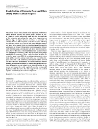 Dendritic Size of Pyramidal Neurons Differs Among Mouse Cortical