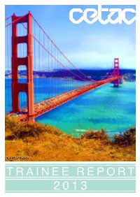 TRAINEE REPORT 2013 Ask Yourself, Mathematics As a What Is the American Dream?