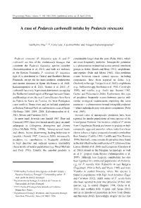 A Case of Podarcis Carbonelli Intake by Podarcis Virescens