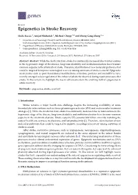 Epigenetics in Stroke Recovery