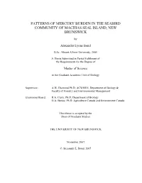 Patterns of Mercury Burden in the Seabird Community of Machias Seal Island, New Brunswick