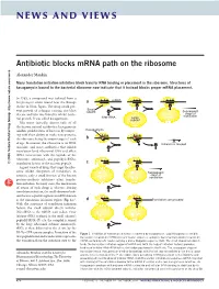 Antibiotic Blocks Mrna Path on the Ribosome