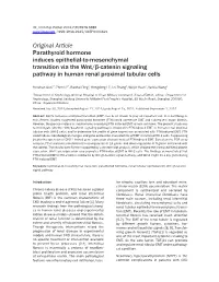 Original Article Parathyroid Hormone Induces Epithelial-To-Mesenchymal Transition Via the Wnt/Β-Catenin Signaling Pathway in Human Renal Proximal Tubular Cells