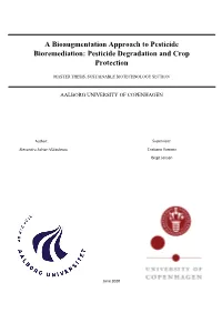 Pesticide Degradation and Crop Protection