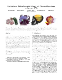 Ray Casting of Multiple Volumetric Datasets with Polyhedral Boundaries on Manycore Gpus