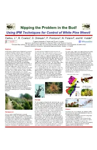 Using IPM Techniques for Control of White Pine Weevil Nipping The