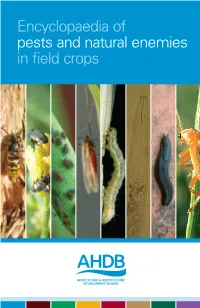 Encyclopaedia of Pests and Natural Enemies in Field Crops Contents Introduction