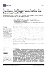 Flow Cytometry-Based Determination of Ploidy from Dried Leaf Specimens in Genomically Complex Collections of the Tropical Forage Grass Urochloa S