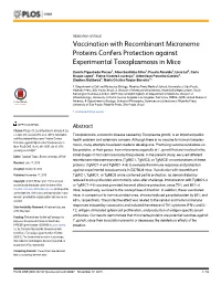 Vaccination with Recombinant Microneme Proteins Confers Protection Against Experimental Toxoplasmosis in Mice