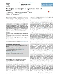 And Outs(Ide) of Asymmetric Stem Cell Division
