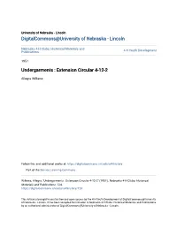 Undergarments : Extension Circular 4-12-2