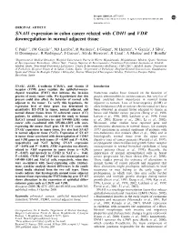 SNAI1 Expression in Colon Cancer Related with CDH1 and VDR Downregulation in Normal Adjacent Tissue