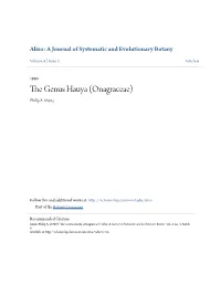 The Genus Hauya (Onagraceae) Philip A