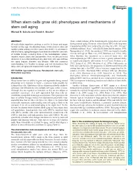 When Stem Cells Grow Old: Phenotypes and Mechanisms of Stem Cell Aging Michael B