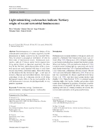 Light-Mimicking Cockroaches Indicate Tertiary Origin of Recent Terrestrial Luminescence