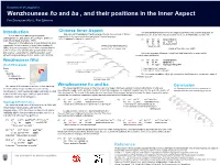 Wenzhounese ɦɔ and Ba, and Their Positions in the Inner Aspect