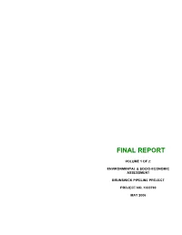 Final Report