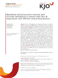 Mandibular Skeletal Posterior Anatomic Limit for Molar Distalization in Patients with Class III Malocclusion with Different Vertical Facial Patterns