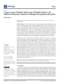 C-Type Lectin CD209L/L-SIGN and CD209/DC-SIGN: Cell Adhesion Molecules Turned to Pathogen Recognition Receptors