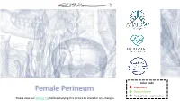 Female Perineum Doctors Notes Notes/Extra Explanation Please View Our Editing File Before Studying This Lecture to Check for Any Changes