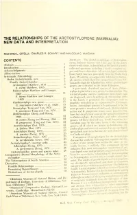 The Relationships of the Arctostylopidae (Mammalia) New Data and Interpretation