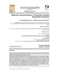 Molecular Characterization of Penicillium Isolates Using Rapd Technique