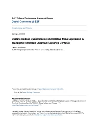 Oxalate Oxidase Quantification and Relative Mrna Expression in Transgenic American Chestnut (Castanea Dentata)