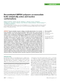 Reconstituted IMPDH Polymers Accommodate Both Catalytically Active and Inactive Conformations