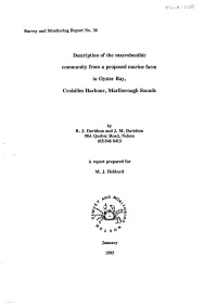 Description of the Macrobenthic Community from a Proposed Marine