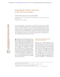 Extracellular Matrix: Functions in the Nervous System