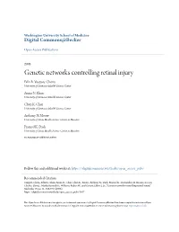 Genetic Networks Controlling Retinal Injury Felix R