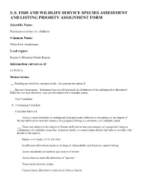 U.S. Fish and Wildlife Service Species Assessment and Listing Priority Assignment Form