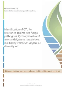 Identification of QTL for Resistance Against Two Fungal Pathogens, Pyrenophora Teres F