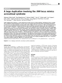 A Large Duplication Involving the IHH Locus Mimics Acrocallosal Syndrome