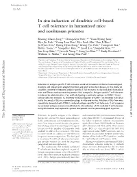 In Situ Induction of Dendritic Cell–Based T Cell Tolerance in Humanized Mice and Nonhuman Primates