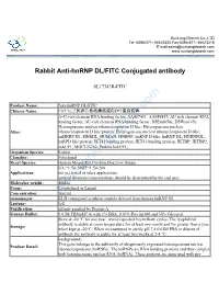 Rabbit Anti-Hnrnp DL/FITC Conjugated Antibody-SL17343R-FITC