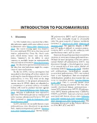 Introduction to Polyomaviruses