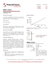 IRAK2, Active IRAK2, Active