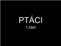 Prezentace Aplikace Powerpoint