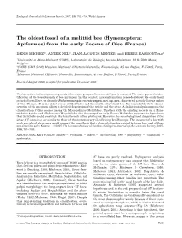The Oldest Fossil of a Melittid Bee (Hymenoptera: Apiformes) from the Early Eocene of Oise (France)